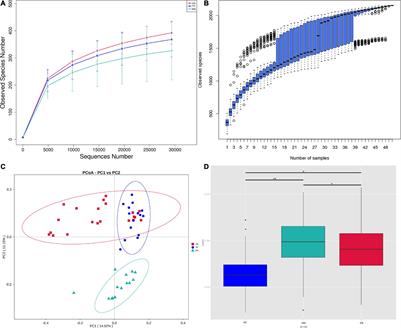 Gut Microbiota Composition and Fecal Metabolic Profiling in Patients With Diabetic Retinopathy